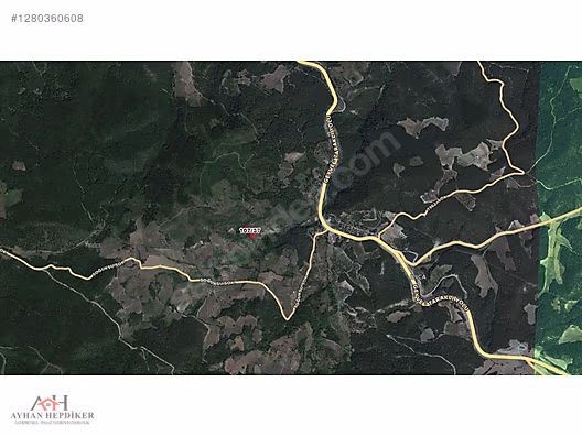 AYHAN HEPDİKER DEN GEYVE ILICA'DA 3863 M2 YOLLU ORMAN MANZARALI - SAKARYA GEYVE fotoğraf 8