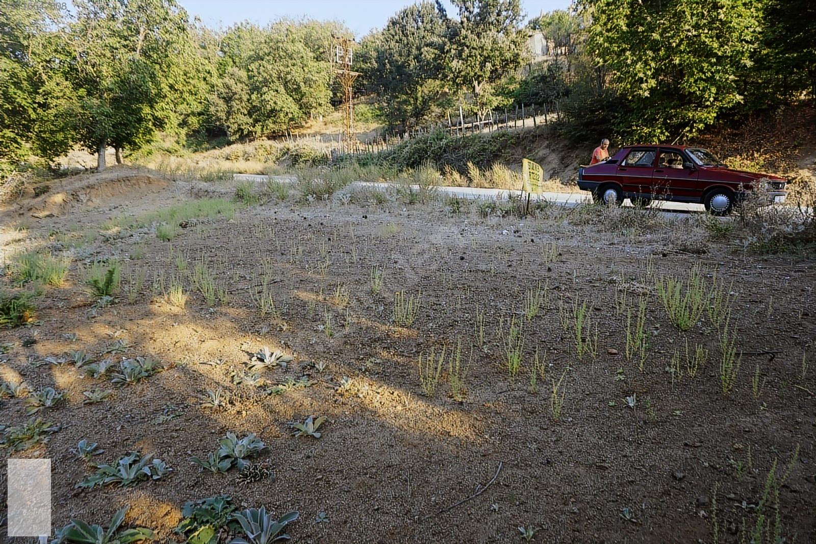 ÇANAKKALE BAYRAMİÇ SERHAT KÖYÜ 592 m2 % 80 İMARLI ARSA - ÇANAKKALE BAYRAMİÇ fotoğraf 20