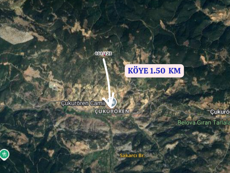 KÜTAHYA GEDİZ ÇUKURÖREN   KÖYÜNDE 3.276  M² TARLA  SATILIKTIR - KÜTAHYA GEDİZ fotoğraf 5