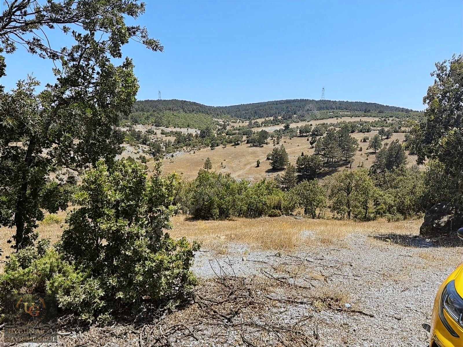 KÜTAHYA TAVŞANLI ANA YOLA CEPHE 6.466M2 UYGUN ARSA - KÜTAHYA TAVŞANLI fotoğraf 12