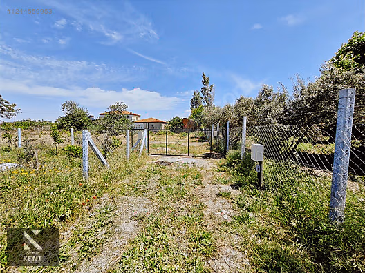 Kemalpaşa Armutlu Satılık 1120 m2 Bahçe - İZMİR KEMALPAŞA fotoğraf 7