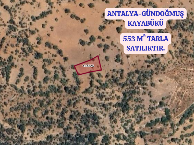 ANTALYA GÜNDOĞMUŞ KAYABÜKÜ   KÖYÜNDE  553  M² TARLA  SATILIKTIR - ANTALYA GÜNDOĞMUŞ fotoğraf 2