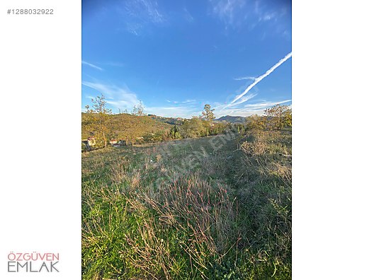 Zonguldak Ereğli Yollu Manzaralı Tarla ACİL 3 GÜNLÜK FİYAT - ZONGULDAK EREĞLİ fotoğraf 11