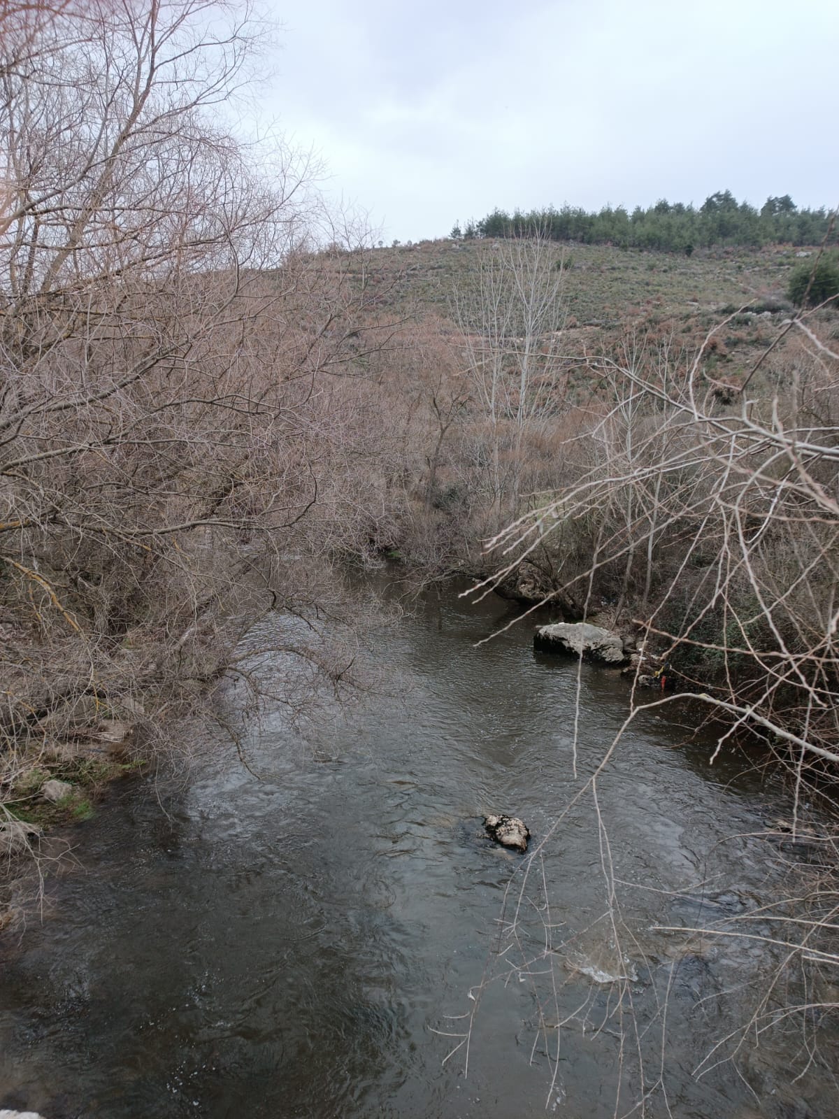 Göksu Dere kenarı tarla - BİLECİK OSMANELİ fotoğraf 7