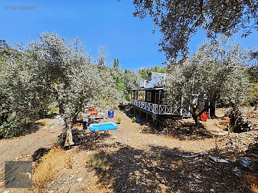 AHIRTAŞ'TA ORMANA SIFIR 4.065 m² TEK TAPU TARLA VE AHŞAP EV İLE - ANTALYA DÖŞEMEALTI fotoğraf 7