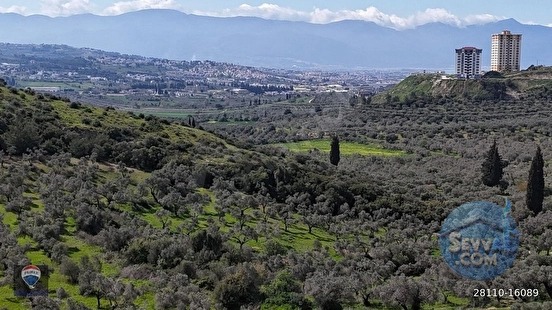 ŞEHIR MERKEZINE YAKIN 11.268 M² SATILIK ZEYTINLIK - AYDIN KUŞADASI fotoğraf 2