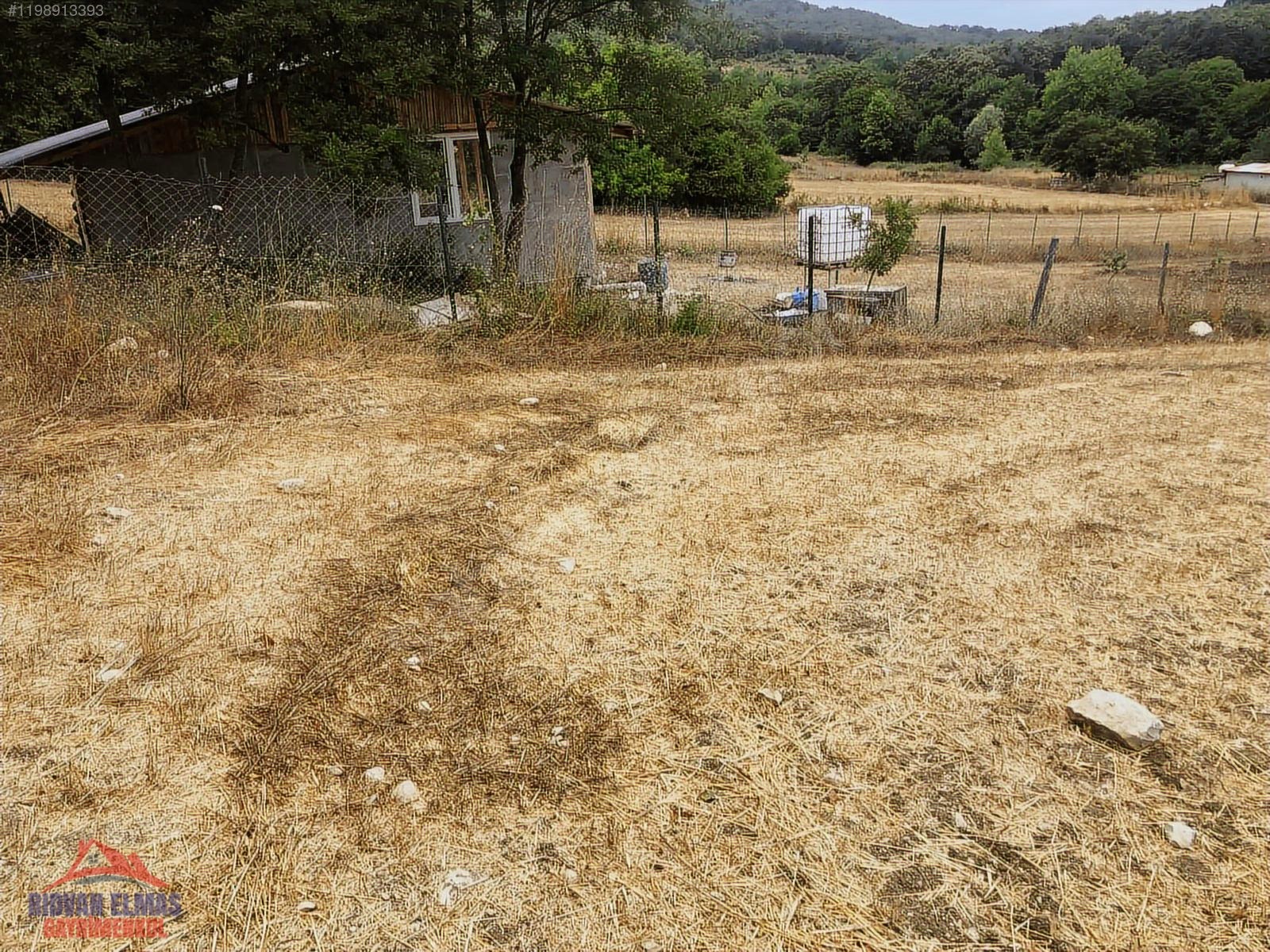 Kandıra Sarnıçlar köyünde doğa içinde satılık arazi - KOCAELİ KANDIRA fotoğraf 7