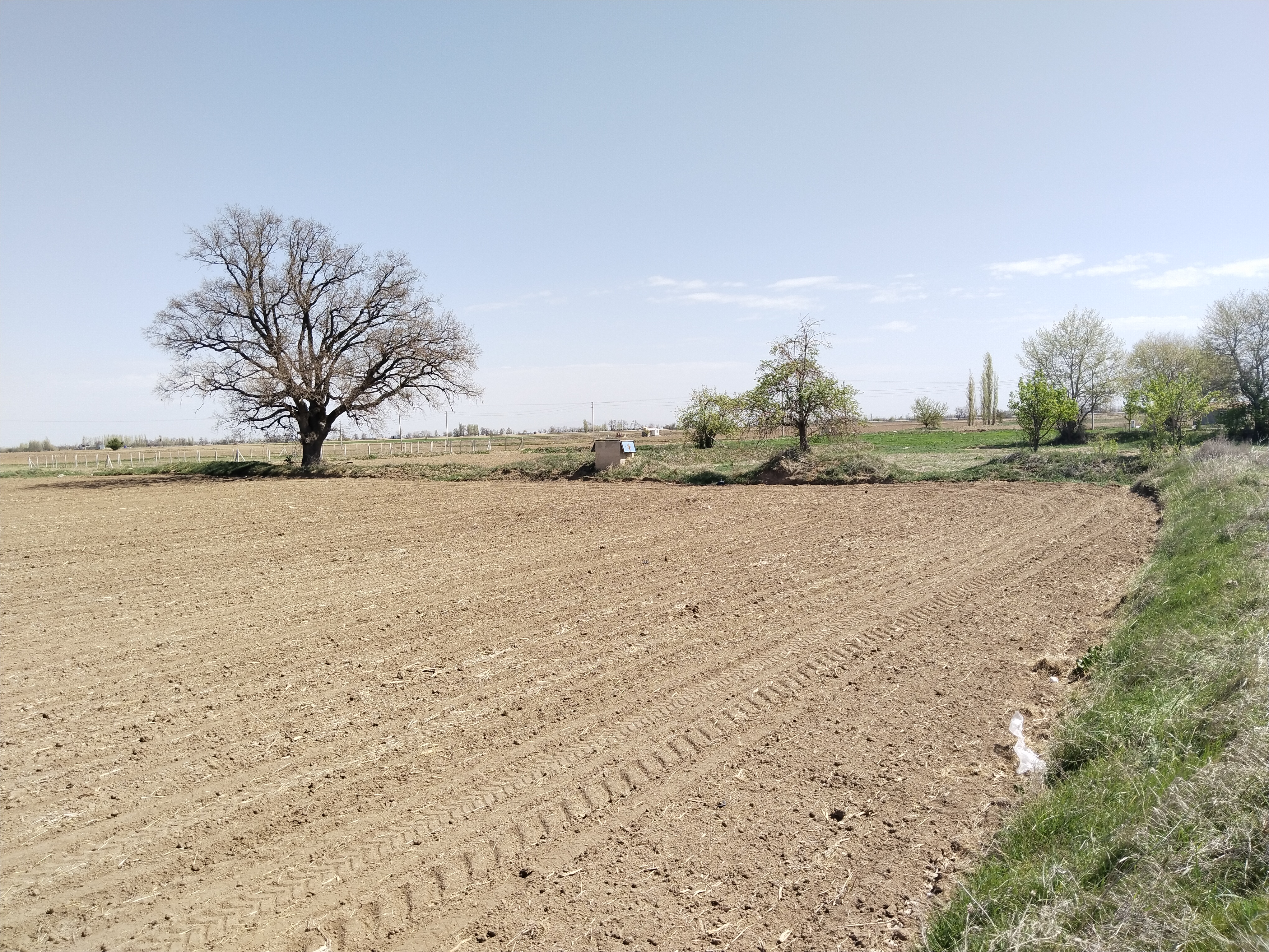 KONYA ÇUMRA ALİBEYHÜYÜĞÜ  KÖYÜNDE  272  M² BAĞ SATILIKTIR - KONYA ÇUMRA fotoğraf 12