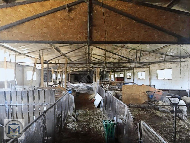 EDREMİT ÇIKRIKÇI KÖYÜNE YAKIN 3000 M2 KÖŞE SATILIK BAHÇE - BALIKESİR EDREMİT fotoğraf 19