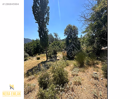 KAŞ'IN EN GÖZDE MAHALLELERİN'DEN SÜTLEĞEN'DE TEK TAPU 2.072m2 - ANTALYA KAŞ fotoğraf 12