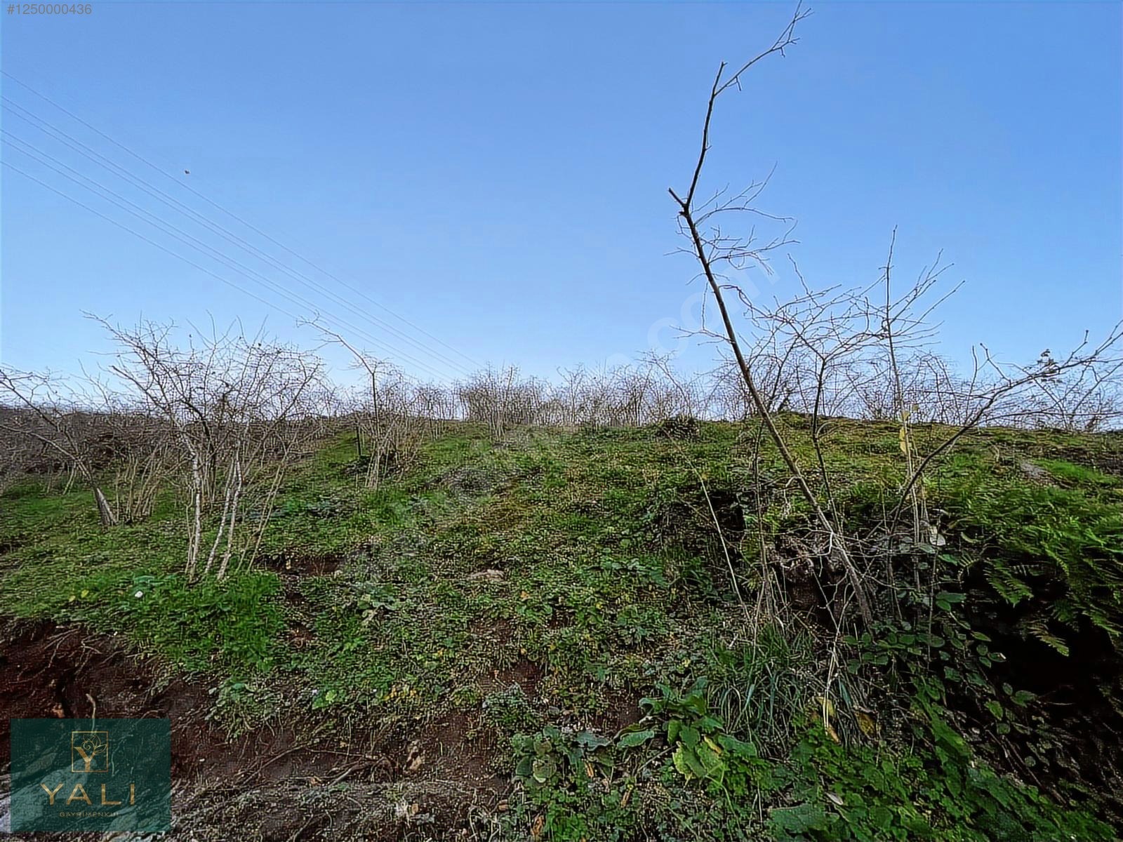 SELDEĞİRMENİ'NDE İMARLI FULL MANZARALI 716M2 SATILIK ARSA - GİRESUN MERKEZ fotoğraf 7