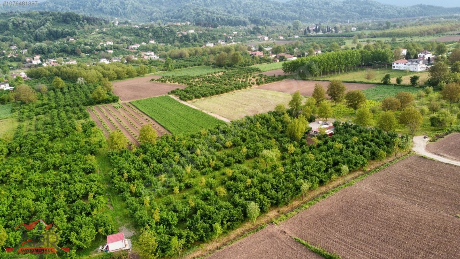 SAKARYA ARİFİYE KEMALİYE KÖYÜNDE 10866M2SATILIK.yıl sonuna kadar - SAKARYA ARİFİYE fotoğraf 6