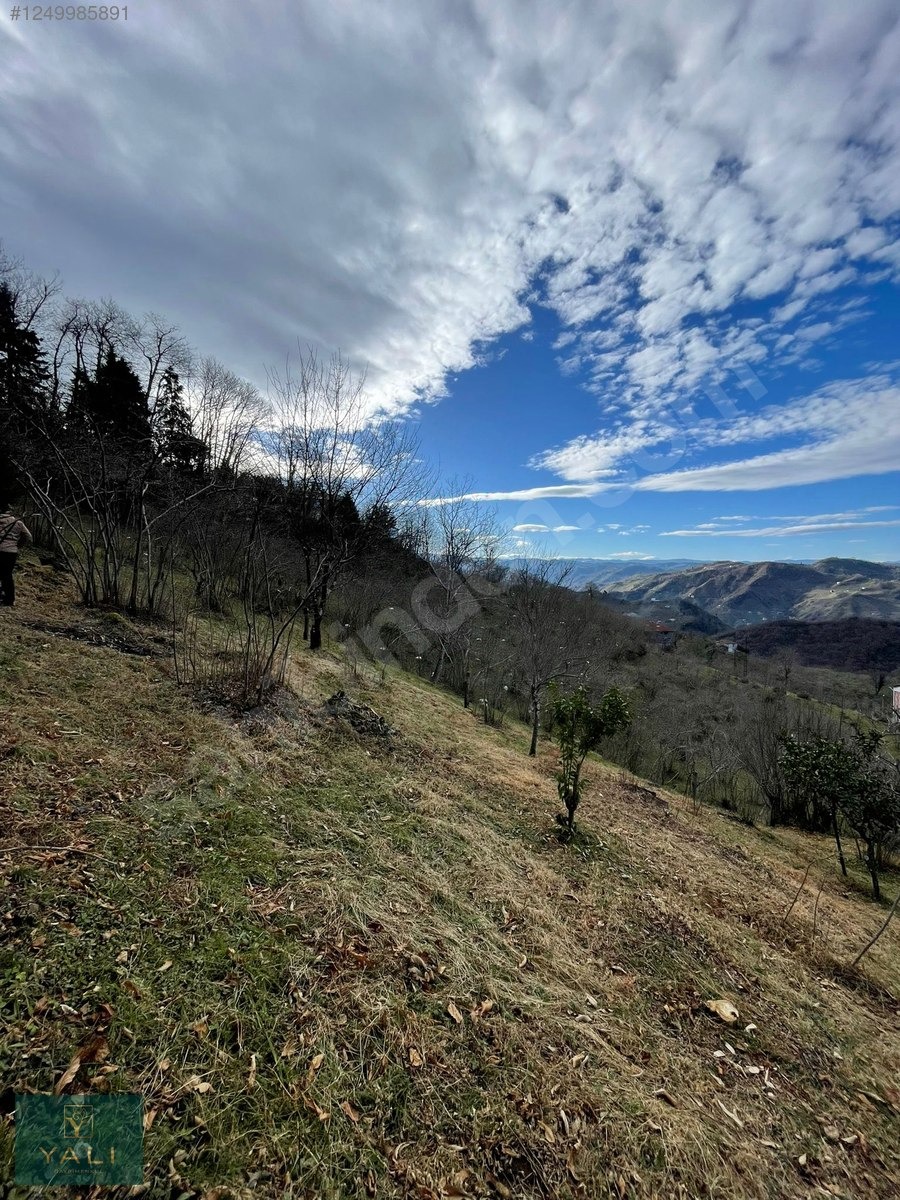 ÇITLAKKALEDE 1050M2 MUHTEŞEM DENİZ MANZARALI İMARLI ARSA - GİRESUN MERKEZ fotoğraf 7