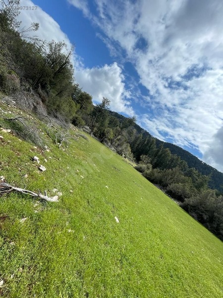 Antalya  Kaş  Hacıoğlan Mahallesinde 500 m² SATILIK ARSA  - ANTALYA KAŞ fotoğraf 4