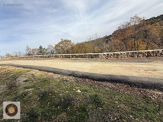 KESTEL LÜTFIYE MH SATILIK 1806M2 TARLA ASVALT YOLA CEPHE - BURSA KESTEL fotoğraf 8