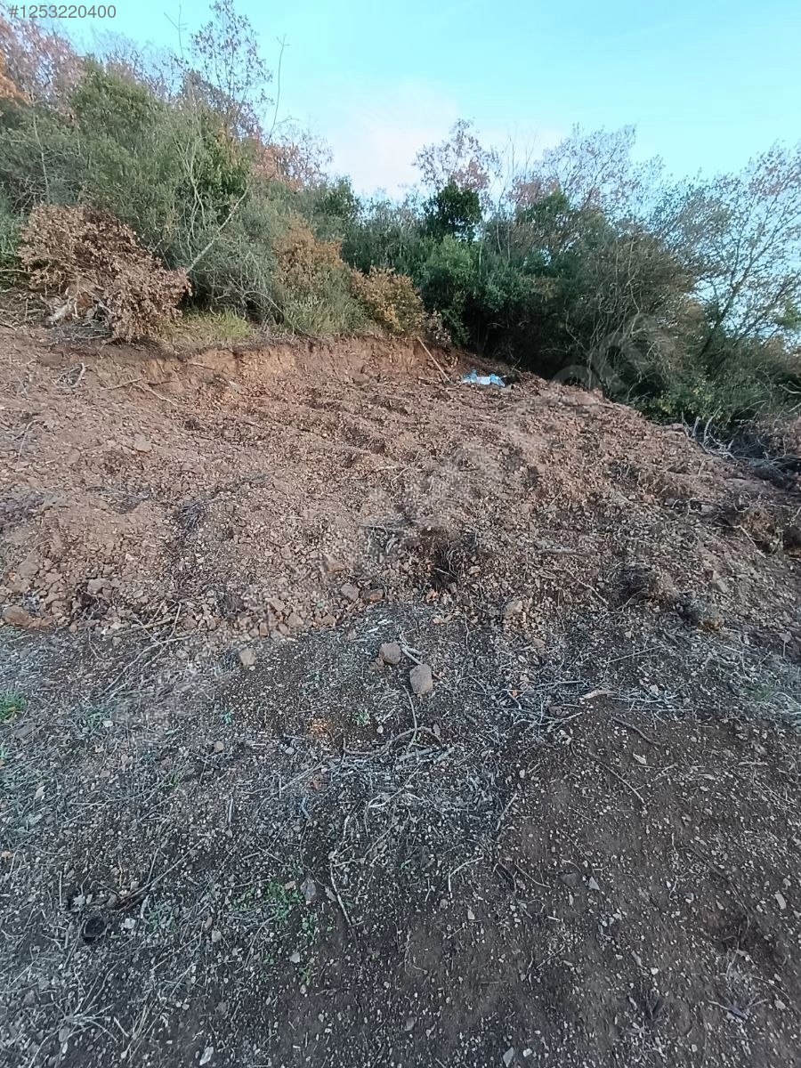 BURSA MUDANYA KAYMAKOBA KÖYÜNDE 537 M TARLA SATILIKTIR - BURSA MUDANYA fotoğraf 6