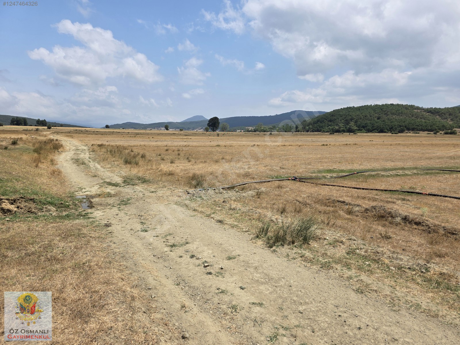 RESMİ YOLU OLAN 4,600 m2 ÇİFTLİK ARAZİSİ KAÇMAZ ! - BİLECİK OSMANELİ fotoğraf 7