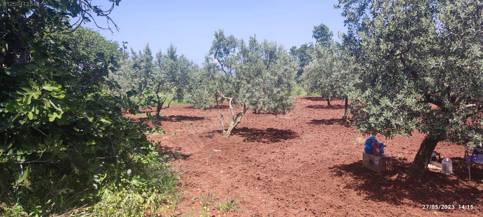 BURSA KARACABEY KARASU KÖYÜNDE 6.100  M² BAĞ SATILIKTIR - BURSA KARACABEY fotoğraf 8