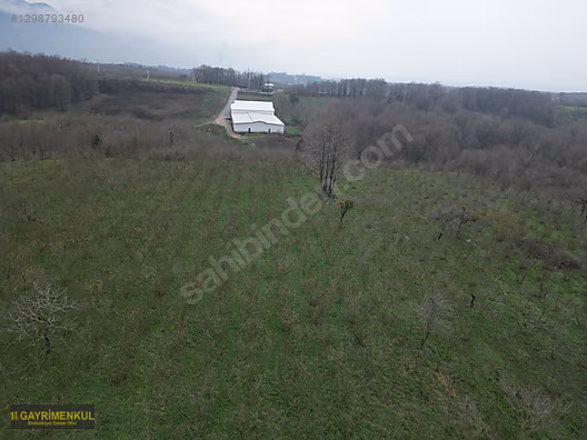 HENDEK SÜLEYMANİYE'DE EŞİ BENZERİ OLMAYAN 16.365 M² KÖYİÇİ ARSA - SAKARYA HENDEK fotoğraf 30