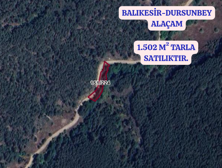 BALIKESİR DURSUNBEY ALAÇAM  KÖYÜNDE 1.502 M² TARLA SATILIKTIR - BALIKESİR DURSUNBEY fotoğraf 2