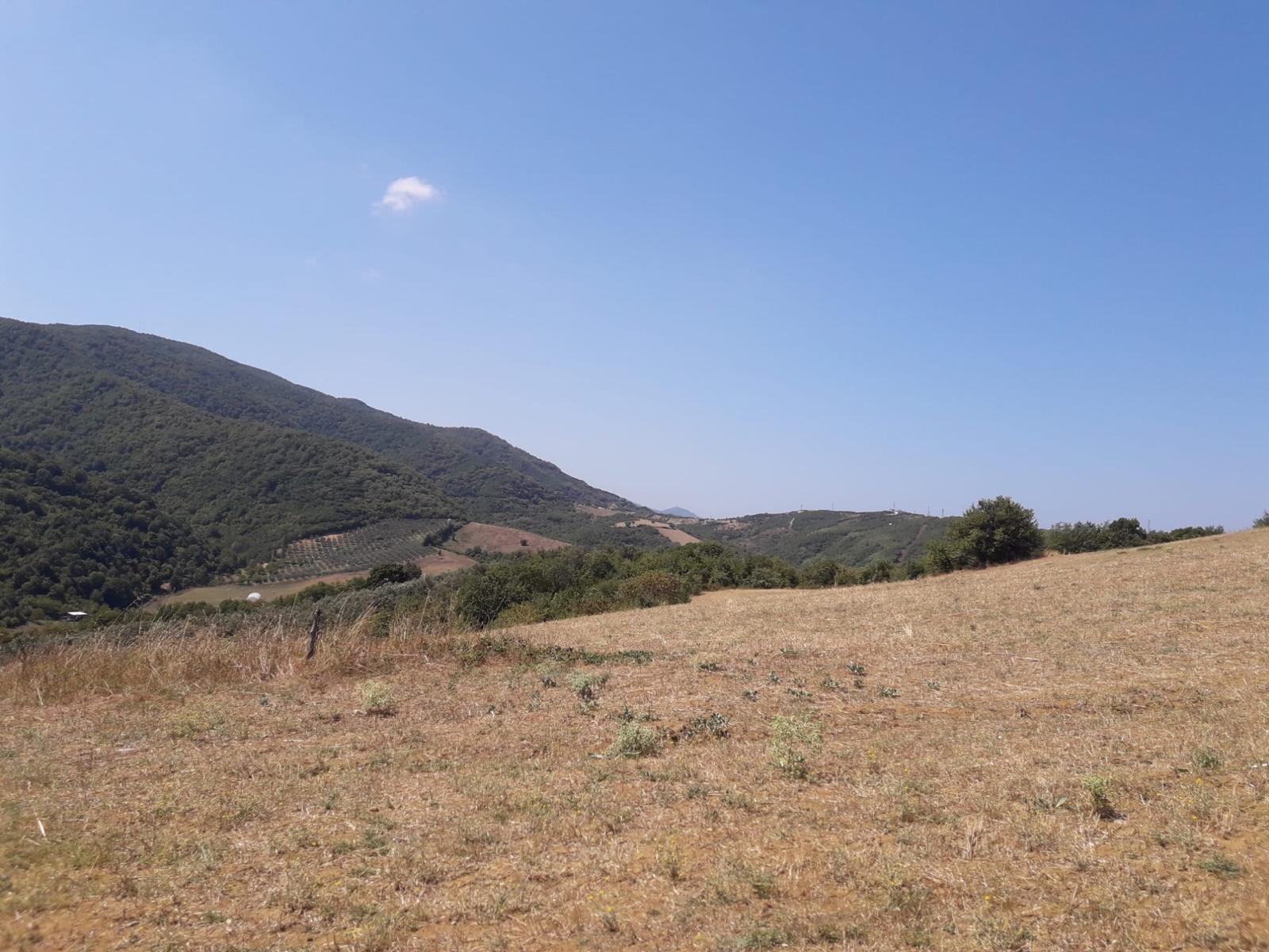 Satılık tarla - YALOVA ÇINARCIK fotoğraf 5