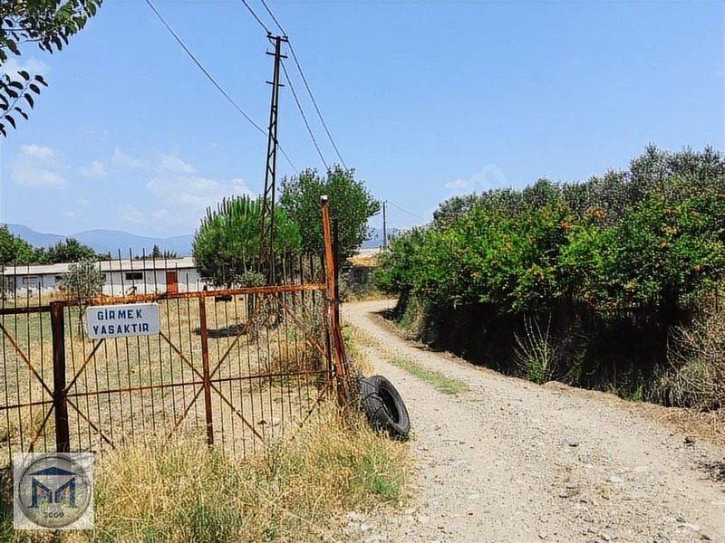 EDREMİT ÇIKRIKÇI KÖYÜNE YAKIN 3000 M2 KÖŞE SATILIK BAHÇE - BALIKESİR EDREMİT fotoğraf 21