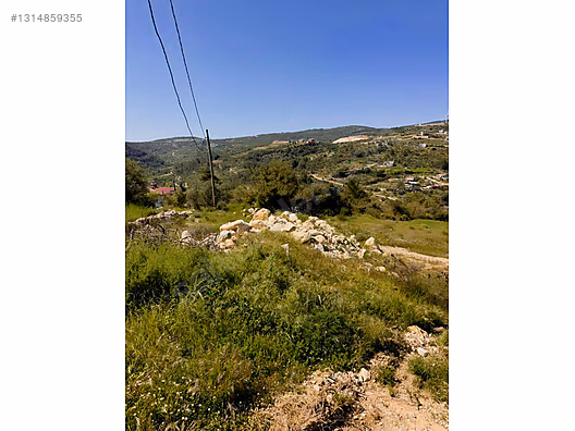 PANORAMİK MANZARALI YATIRIMLIK ZEYTİNLİK - HATAY YAYLADAĞI fotoğraf 19