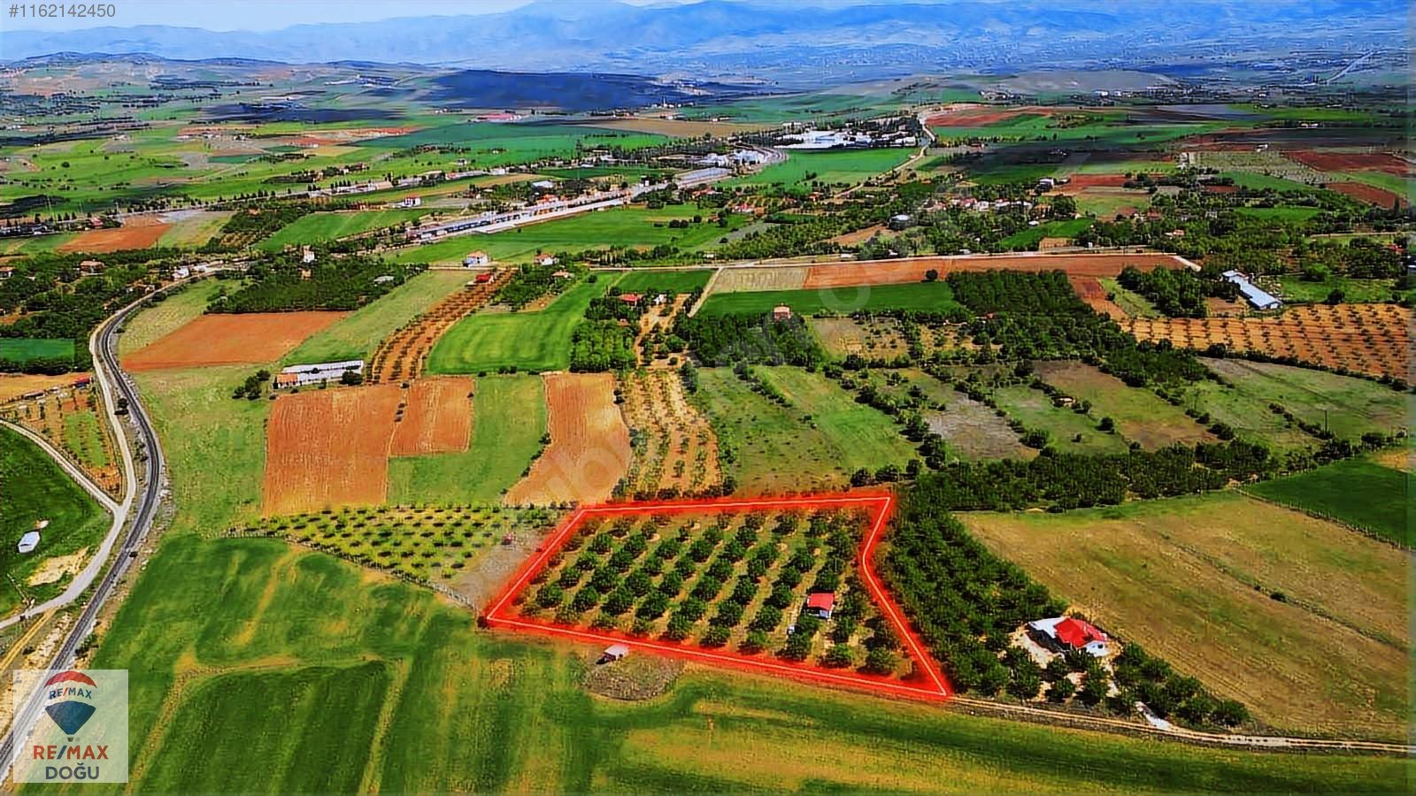 REMAX DOĞUDAN EKRÜZDE SATILIK CEVİZ BAHÇESİ - ELAZIĞ MERKEZ fotoğraf 6