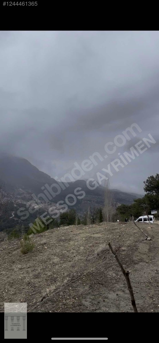 SEYDİKEMER ÇOKEK MAHALLESI SATILIK 2B ARAZI - MUĞLA SEYDİKEMER fotoğraf 4