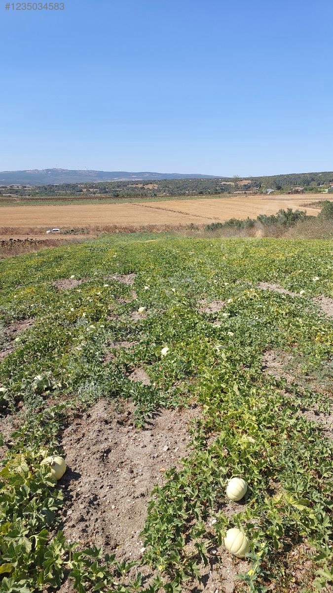 BURSA KARACABEY HARMANLI KÖYÜNDE 2.500  M² TARLA SATILIKTIR - BURSA KARACABEY fotoğraf 25