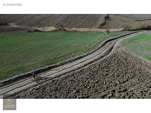 SAMSUN HAVZA KOCAPINAR'DA 4.754 M2 UYGUN ARSA - SAMSUN HAVZA fotoğraf 3