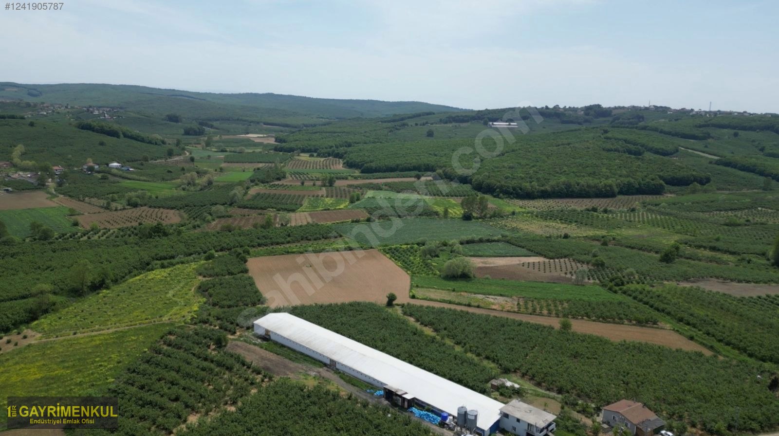 11.752 M² FIRSAT FINDIK BAHÇESİ SAKARYA KAYNARCA ZİAHMET MAH. - SAKARYA KAYNARCA fotoğraf 36
