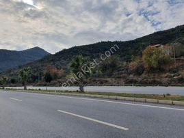 Anchor Gayrimenkul'den Gazipaşa Da Antalya Asvaltına Sıfır Zeytinlik. - ANTALYA GAZİPAŞA fotoğraf 2