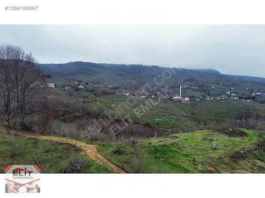 DÜZCE AKÇAKOCA DA EV YAPIMINA UYGUN SATILIK 7.768 M2 FINDIKLIK - DÜZCE AKÇAKOCA fotoğraf 27