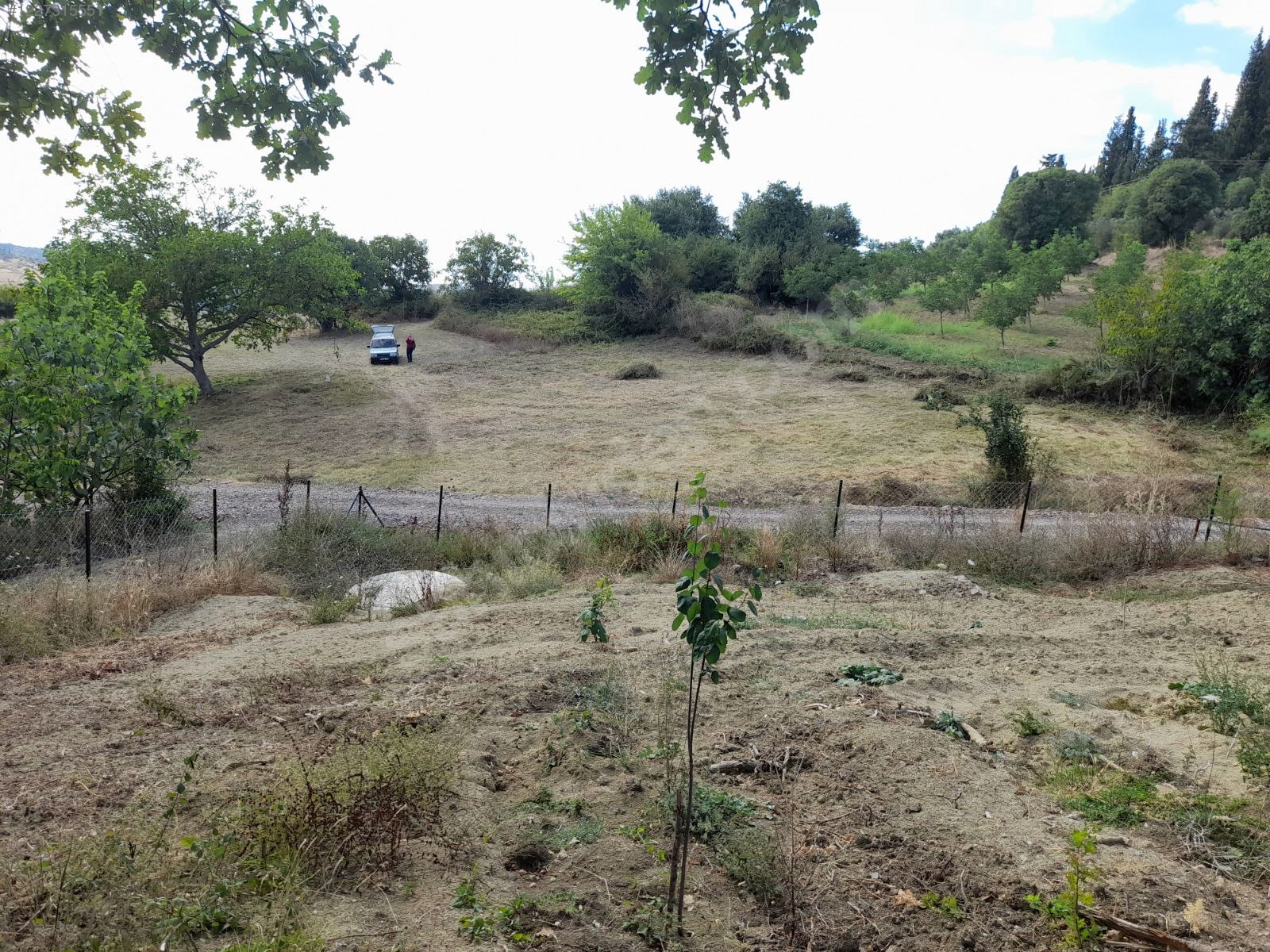 YALOVA ÇİFTLİKKÖY  DENİZÇALI’NDE 1.798 M²  TARLA SATILIKTIR - YALOVA ÇİFTLİKKÖY fotoğraf 8