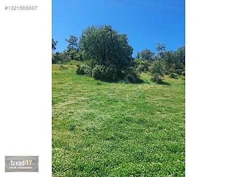 Bozüyük Baharözü'nde 1222m² Satılık Köşe Parsel Arsa - BİLECİK BOZÜYÜK fotoğraf 7
