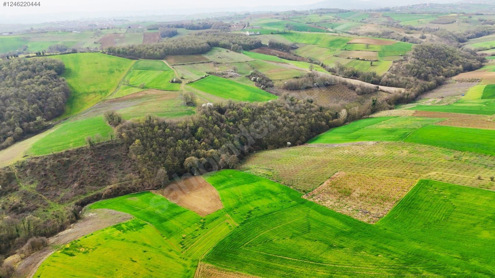 ARAÇ TAKASLI ARSA - KOCAELİ KANDIRA fotoğraf 5