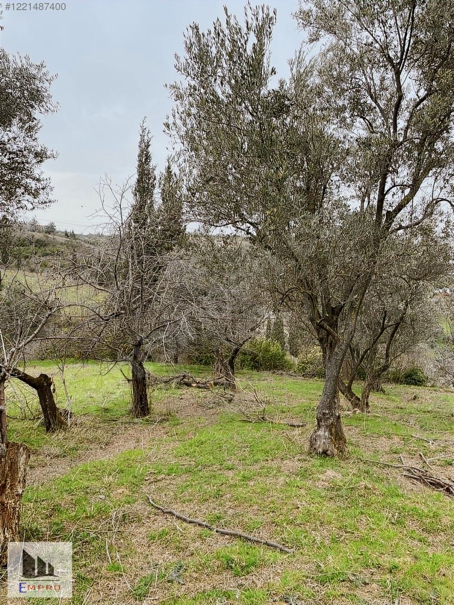 KARAMÜRSEL KAYACİKTA 22,746 M2 SATILIK ARAZI - KOCAELİ KARAMÜRSEL fotoğraf 6