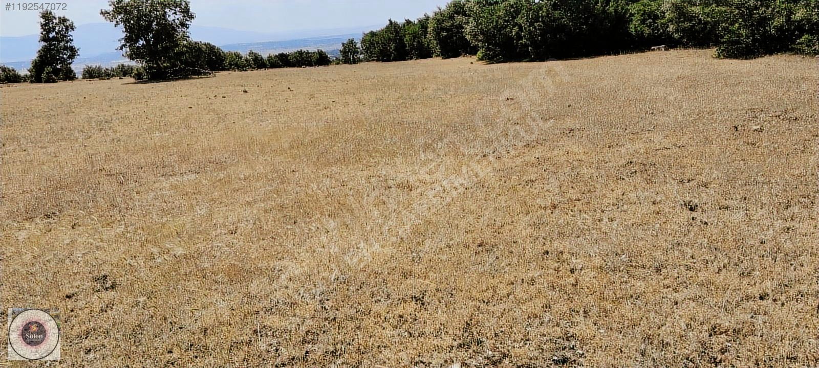 Kütahya merkez kozluca köyü nde satılık tarla - KÜTAHYA MERKEZ fotoğraf 8