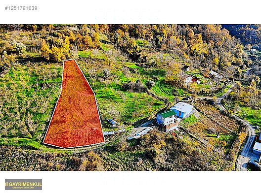 GEYVE DEREKÖYDE 1299 M2 SAKARYA NEHRİ MANZARALI TARLA - SAKARYA GEYVE fotoğraf 18