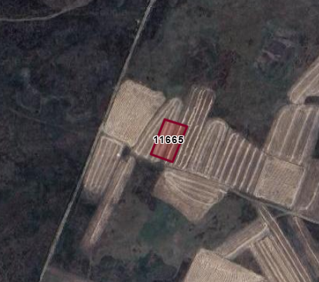 BURDUR YEŞİLOVA BÜYÜKYAKA KÖYÜ 1.300M² TARLA SATILIKTIR - BURDUR YEŞİLOVA fotoğraf 2
