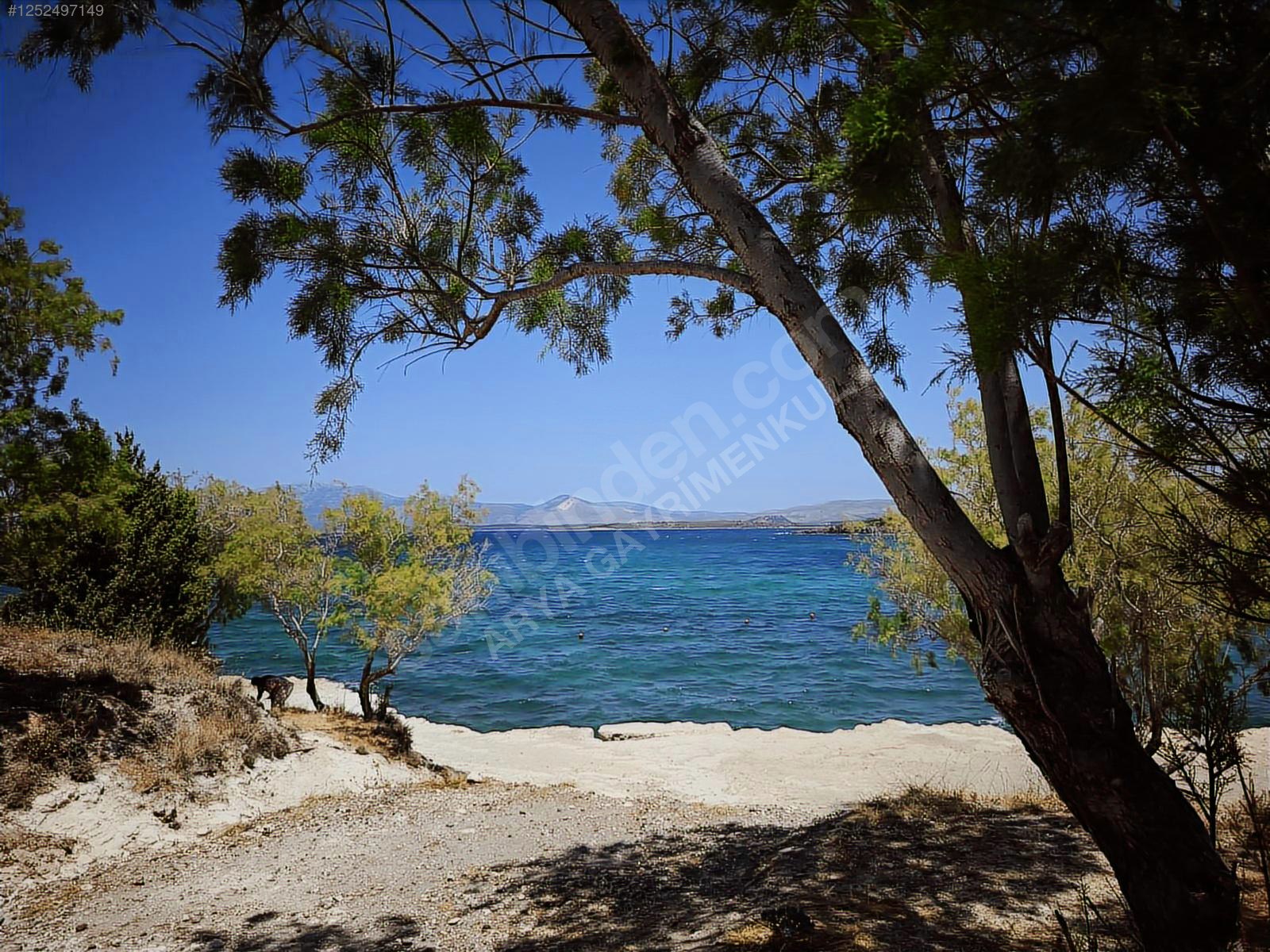 Arya Gayrimenkul Cesme Reisderede Satilik Imarli Arsa - İZMİR ÇEŞME fotoğraf 2