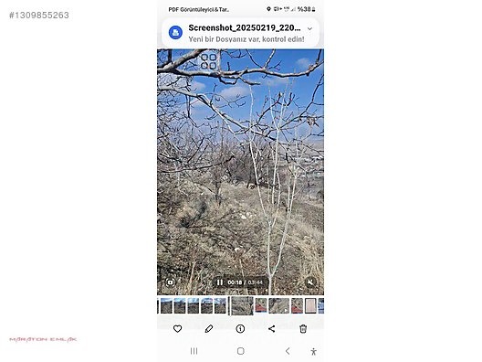 KEMER DE ŞEHİR MANZARALI 7500M2 İÇİNDE 50 KADAR YETİŞMİŞ CEVİZ - BURDUR KEMER fotoğraf 26