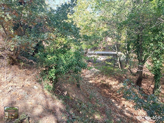 BERGAMA KOZAK KARAVELİLER MAH DE 2100 M2 FISTIKLIK - İZMİR BERGAMA fotoğraf 5