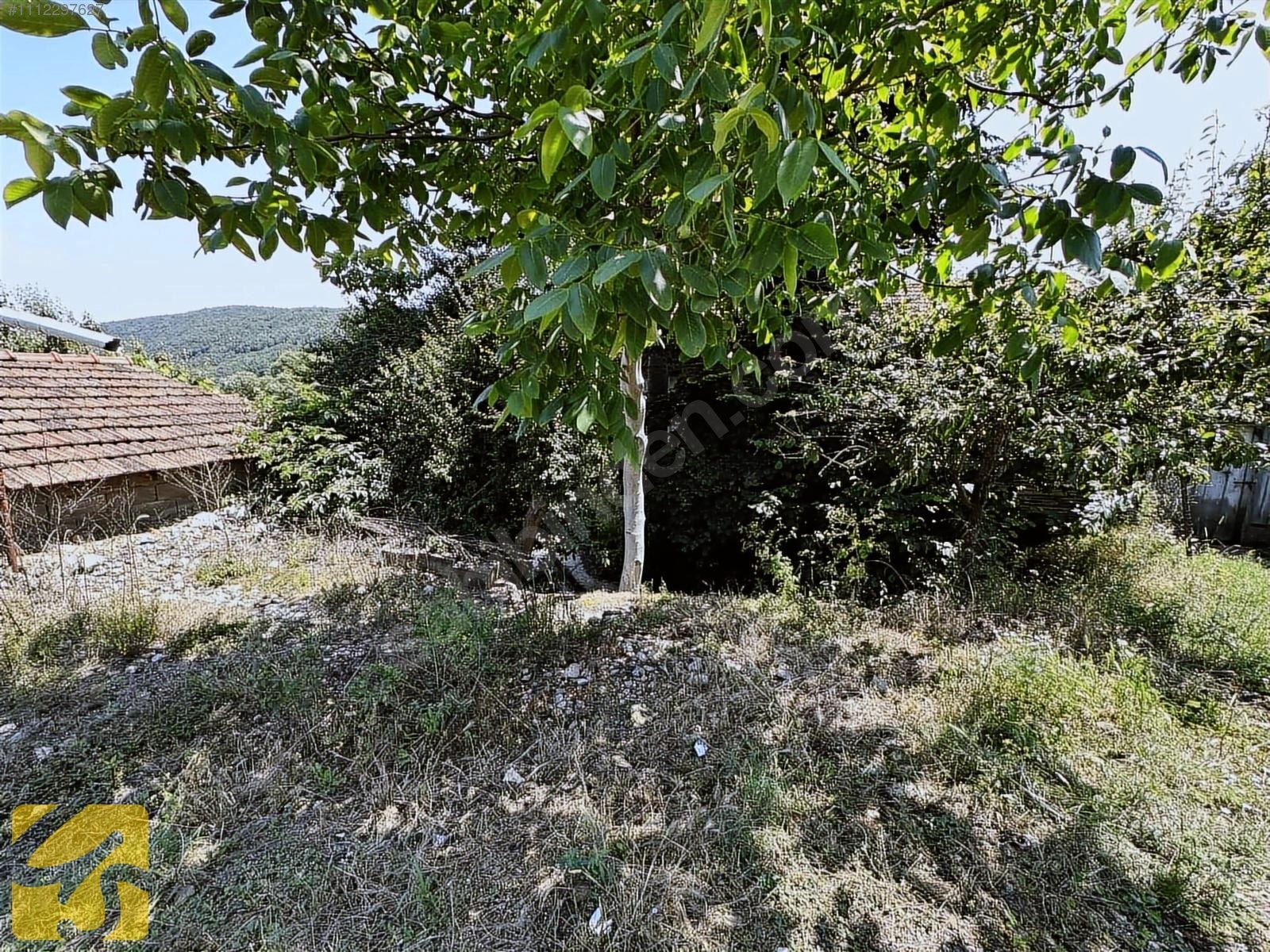 BOLU MERKEZ YUMURKAYA DA 2.900 METREKARE SATILIK TARLA - BOLU MERKEZ fotoğraf 7