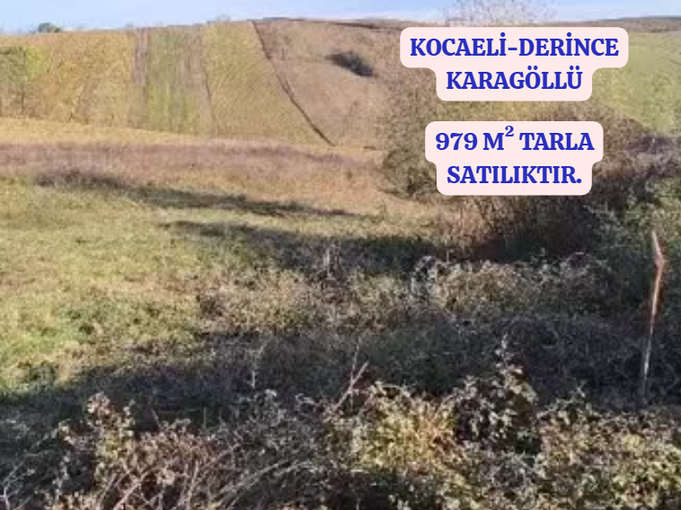 KOCAELİ DERİNCE KARAGÖLLÜ KÖYÜNDE 979  M² TARLA SATILIKTIR - KOCAELİ DERİNCE fotoğraf 2