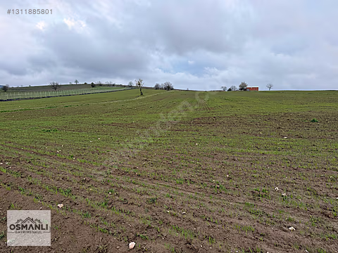ELEKTRİĞİ VE YOLU ÖNÜNDE,ARKASI ORMAN,16 DÖNÜM %5 İMARLI ARAZİ - BİLECİK SÖĞÜT fotoğraf 9