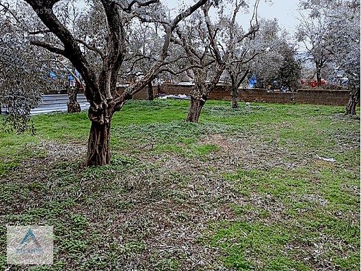 Atlantik gayrimenkul den satılık imarlı arsa - İZMİR ÖDEMİŞ fotoğraf 19