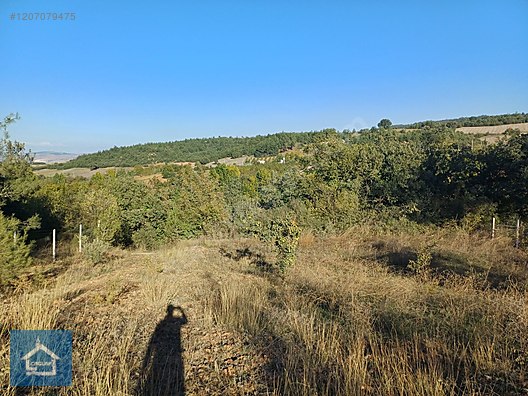 ÇAĞLAR'DAN TOPRAKDERE DE 823m2 MÜSTAKİL TARLA YOL+SU VAR - BURSA YENİŞEHİR fotoğraf 11