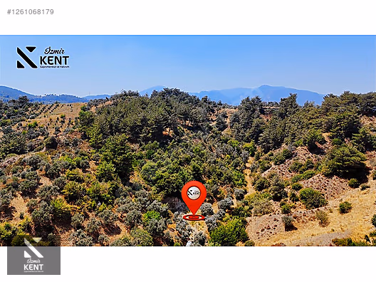 Kemalpaşa Yukarıkızılca Satılık 950 m2 Bahçe Tek Tapu - İZMİR KEMALPAŞA fotoğraf 49